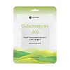 Galactomyces