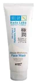 Hada Labo Gokujyun Ultimate Moisturizing Face Wash Indonesia