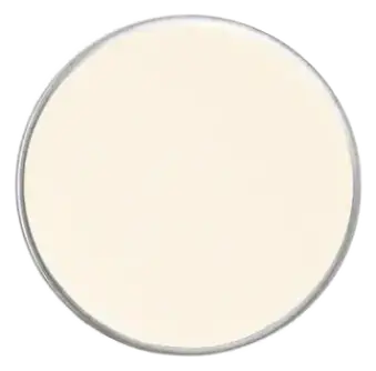 Face Atelier Iconic Eyeshadow Bone