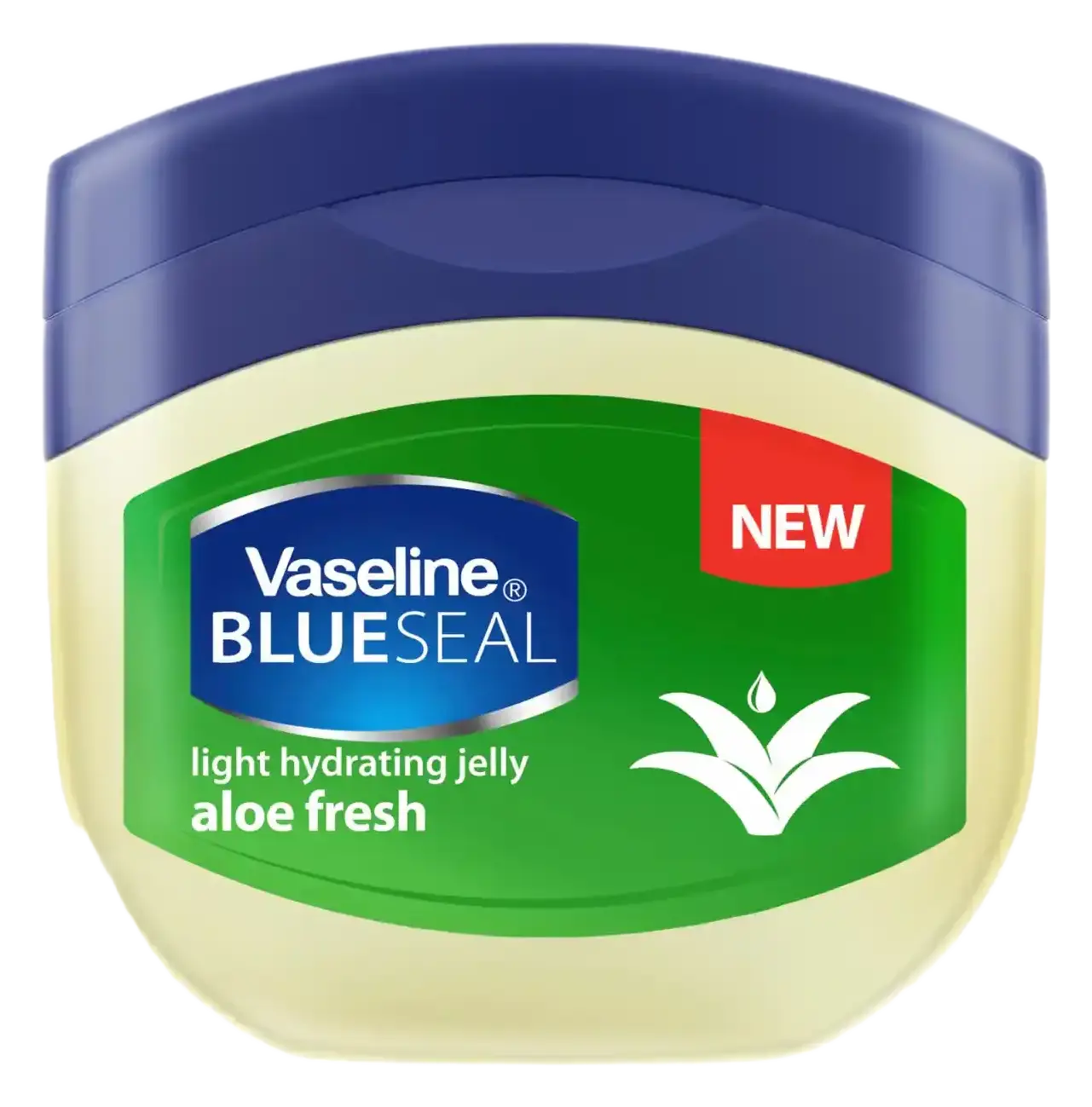 Vaseline Blue Seal Aloe Fresh Petroleum Jelly South Africa
