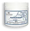 Navigateur