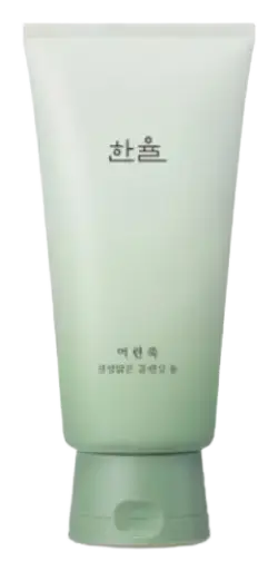 Hanyul Pure Artemisia Calming Foam Cleanser
