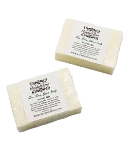 Rachel Rene Tea Tree Lime Soap