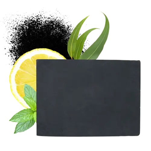 Aroma-Zone Savon Végétal Charbon Detox