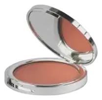 Apolosophy Bronzing Powder