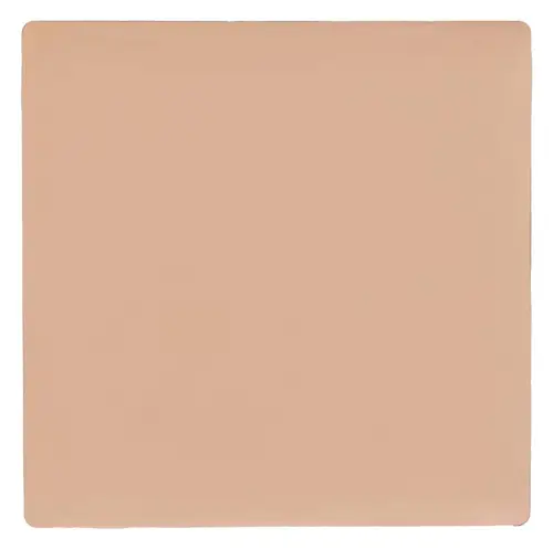 Salt New York Best Case Concealer N13