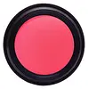 Wild Pink