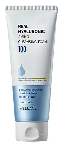 Wellage Real Hyaluronic Amino Cleansing Foam