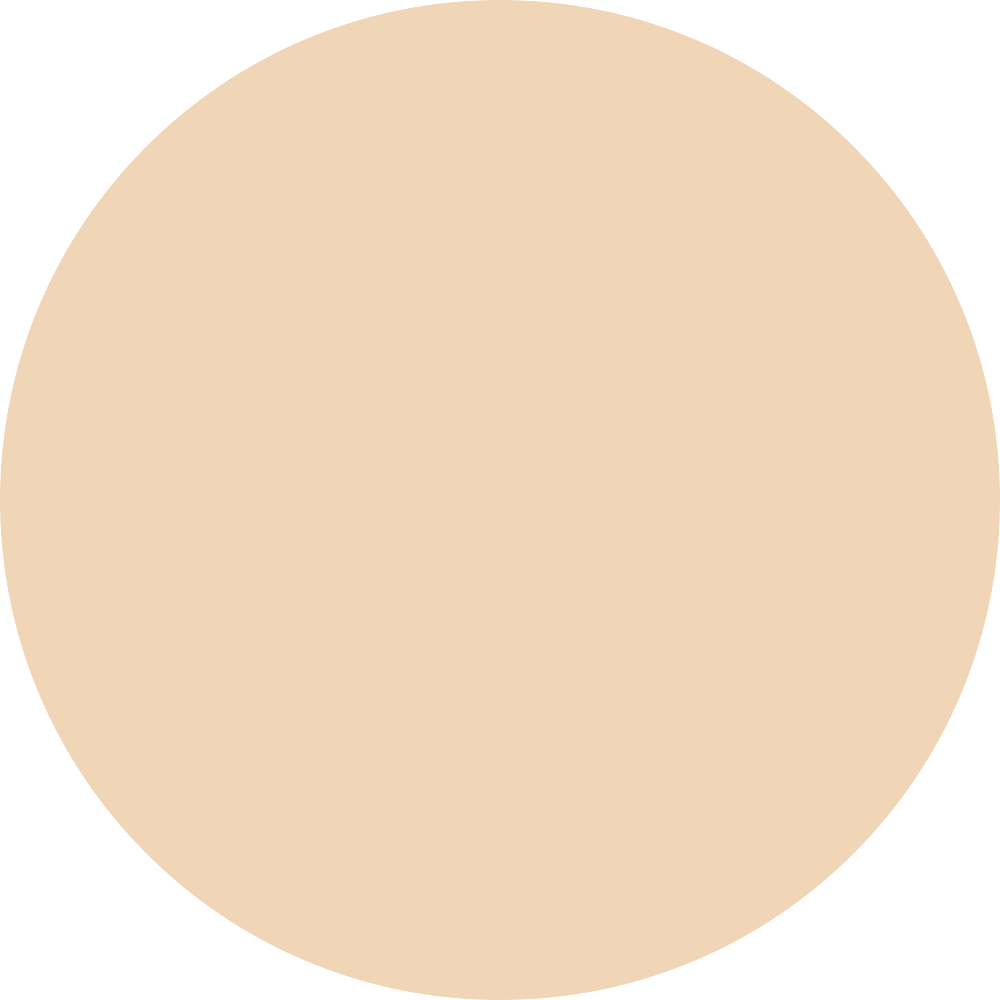 Barenbliss Bloomdew Moonlight Dewy Cushion FN1 Aster