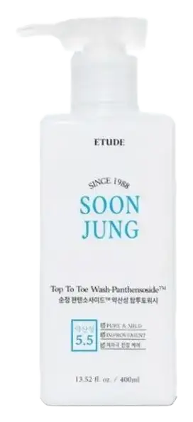 Etude House Soon Jung Panthensoside Top To Toe Wash-Panthensoside