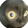 hanbickett's Avatar'