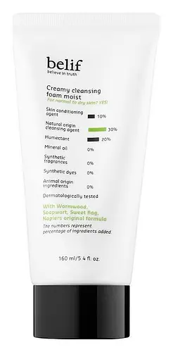 Belif Creamy Cleansing Foam Moist
