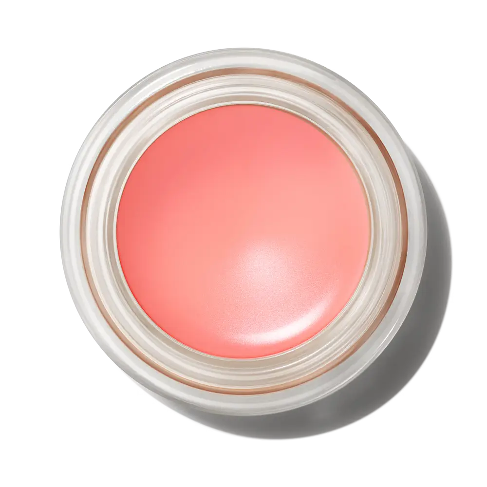 Mac Cosmetics Pro Longwear Paint Pot Art Thera-Peachy