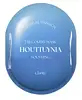 Houttuynia