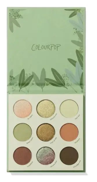 Colourpop 9-Pan Palette Sage The Day
