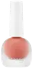CR02 Fig