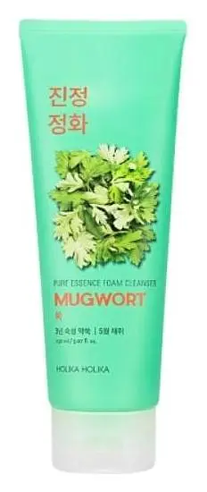 Holika Holika Pure Essence Mugwort Foam Cleanser