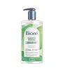 Biore Clean Detox Gentle Cleanser