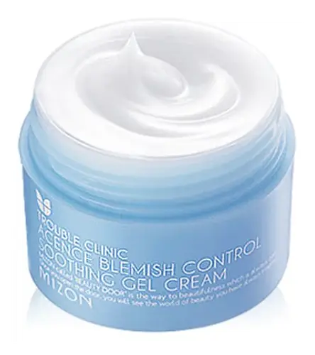 Mizon Acence Blemish Control Soothing Gel Cream