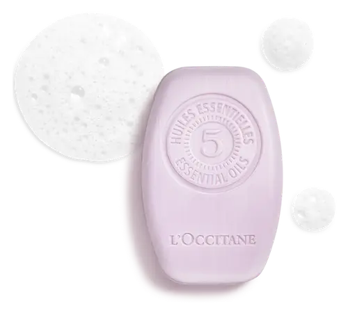 L'Occitane Gentle & Balance Solid Shampoo