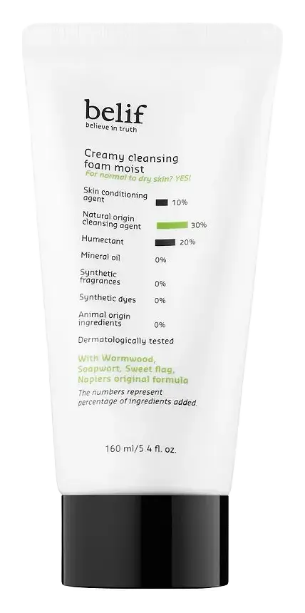 Belif Creamy Cleansing Foam Moist