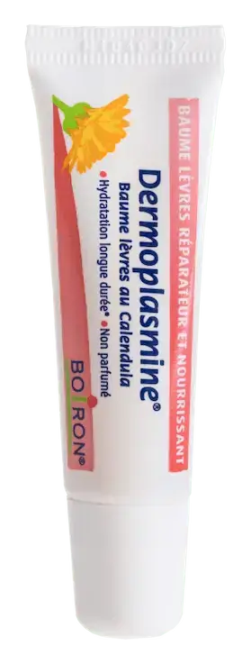 Boiron Dermoplasmine Baume Lèvres