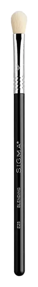 Sigma E25 Blending Brush