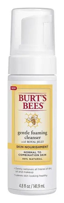 Burt's Bees Skin Nourishment Gentle Foaming Cleanser