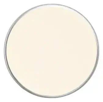 Face Atelier Iconic Eyeshadow Bone