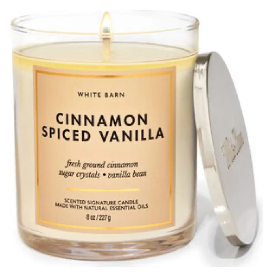 Bath & Body Works Single Wick Candle Cinnamon Spiced Vanilla