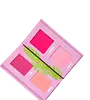 Living In Pink