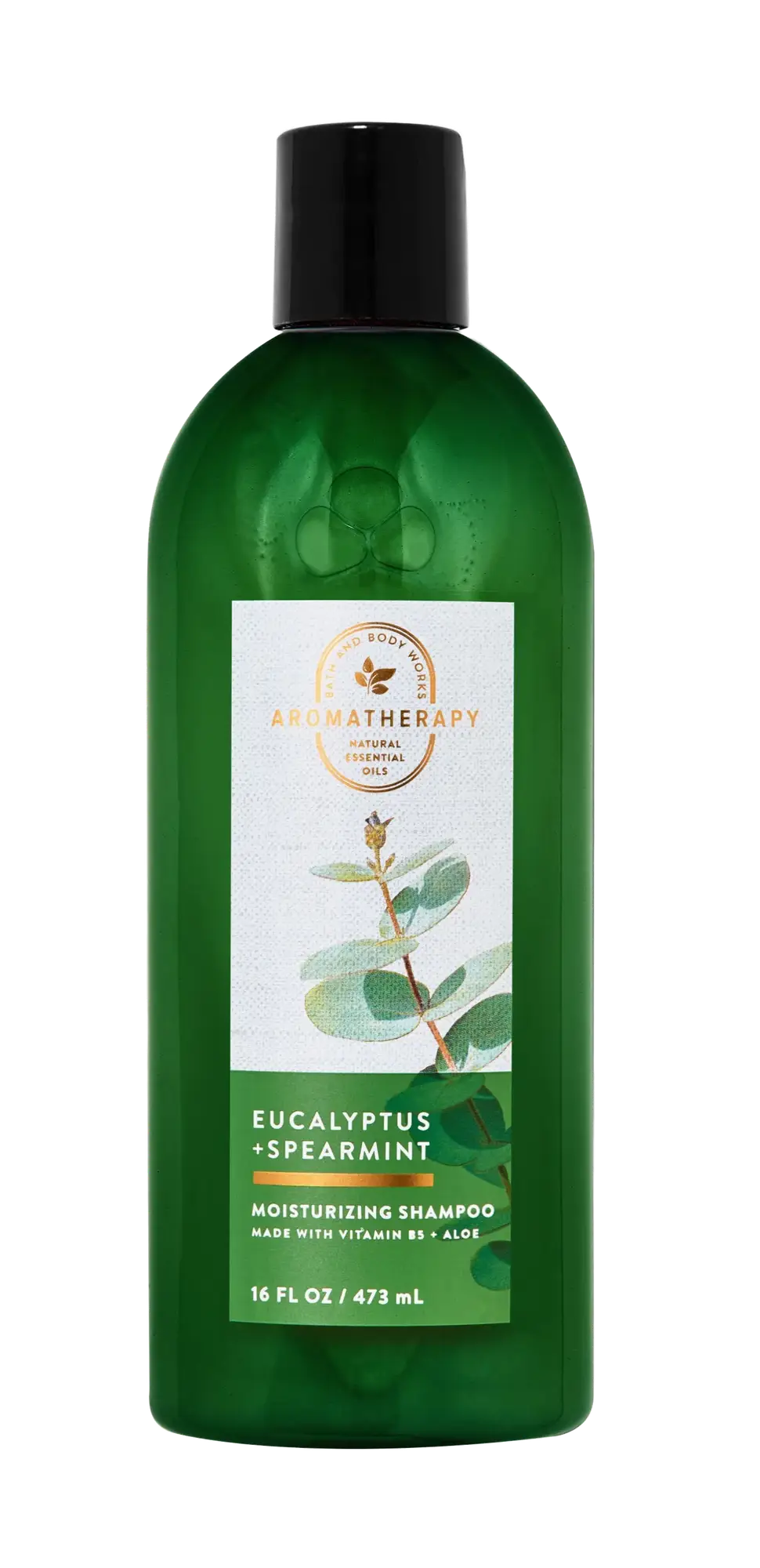 Bath & Body Works Moisturizing Shampoo Eucalyptus + Spearmint