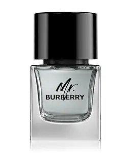 Burberry Mr. Burberry Eau De Toilette