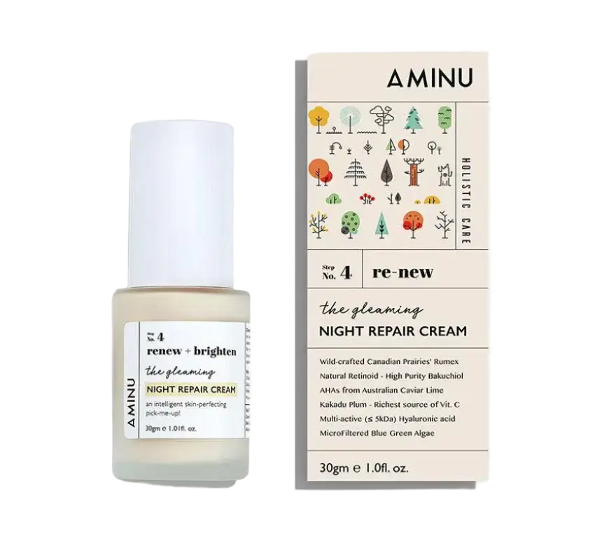 Aminu The Gleaming Night Repair Cream