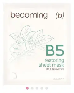 Becoming B5 Sheet Mask Restoring