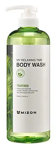 Mizon My Relaxing Time Body Wash Tea Tree