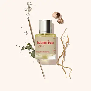 Dossier Lost Americana