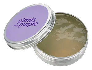 Plants are Purple Aloe Vera Gel