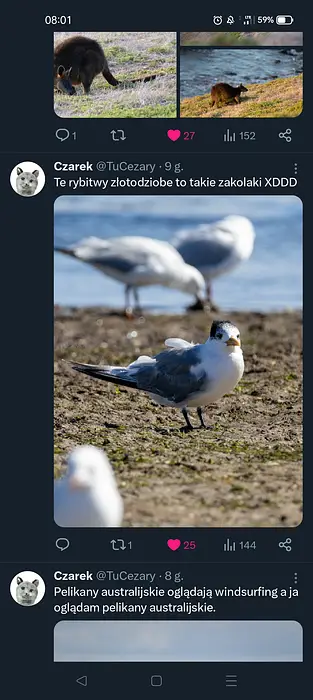 chujowo's avatar