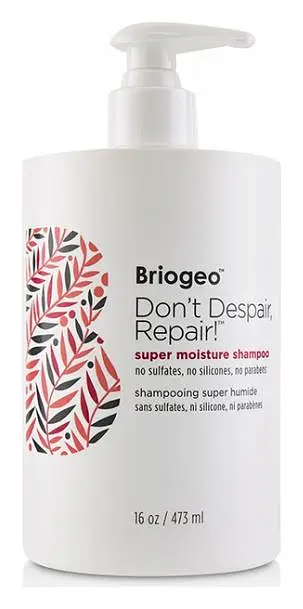 BrioGeo Don't Despair, Repair! Super Moisture Shampoo