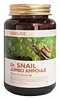 Snail