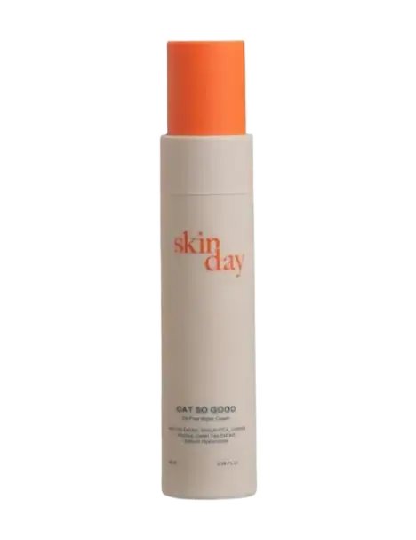 Skinday Oat So Good Oil-Free Water Cream
