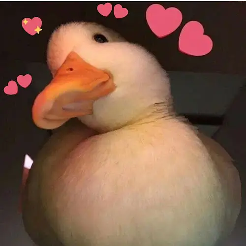 saraaxelsson1's avatar