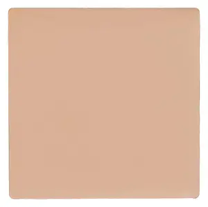 Salt New York Best Case Concealer N13