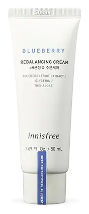 innisfree Blueberry Rebalancing Cream