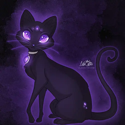 midnightfox's avatar