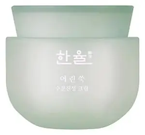 Hanyul Pure Artemisia Calming Water Cream