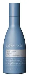 Björn Axén Repair Conditioner Full size