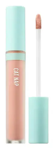 Kaja Cat Nap Creamy Under Eye Brightener Peach Tone
