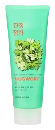 Holika Holika Pure Essence Mugwort Foam Cleanser